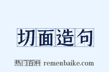 切面造句是什么意思的图片
